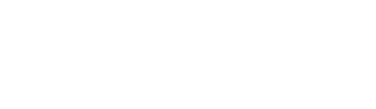 Lamidia