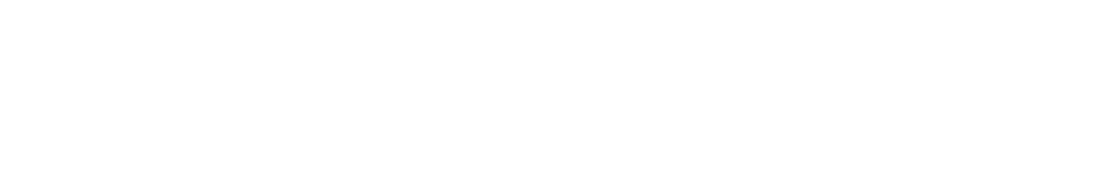 Lamidia